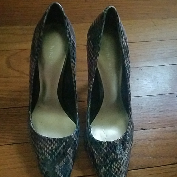 Shows - Picture 3 of 3